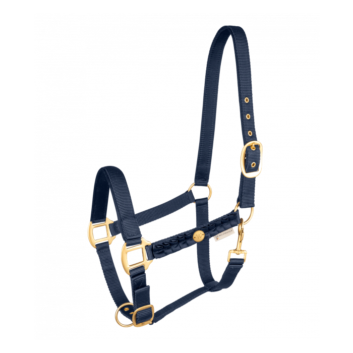 Waldhausen Florenz Halter