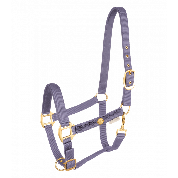 Waldhausen Florenz Halter