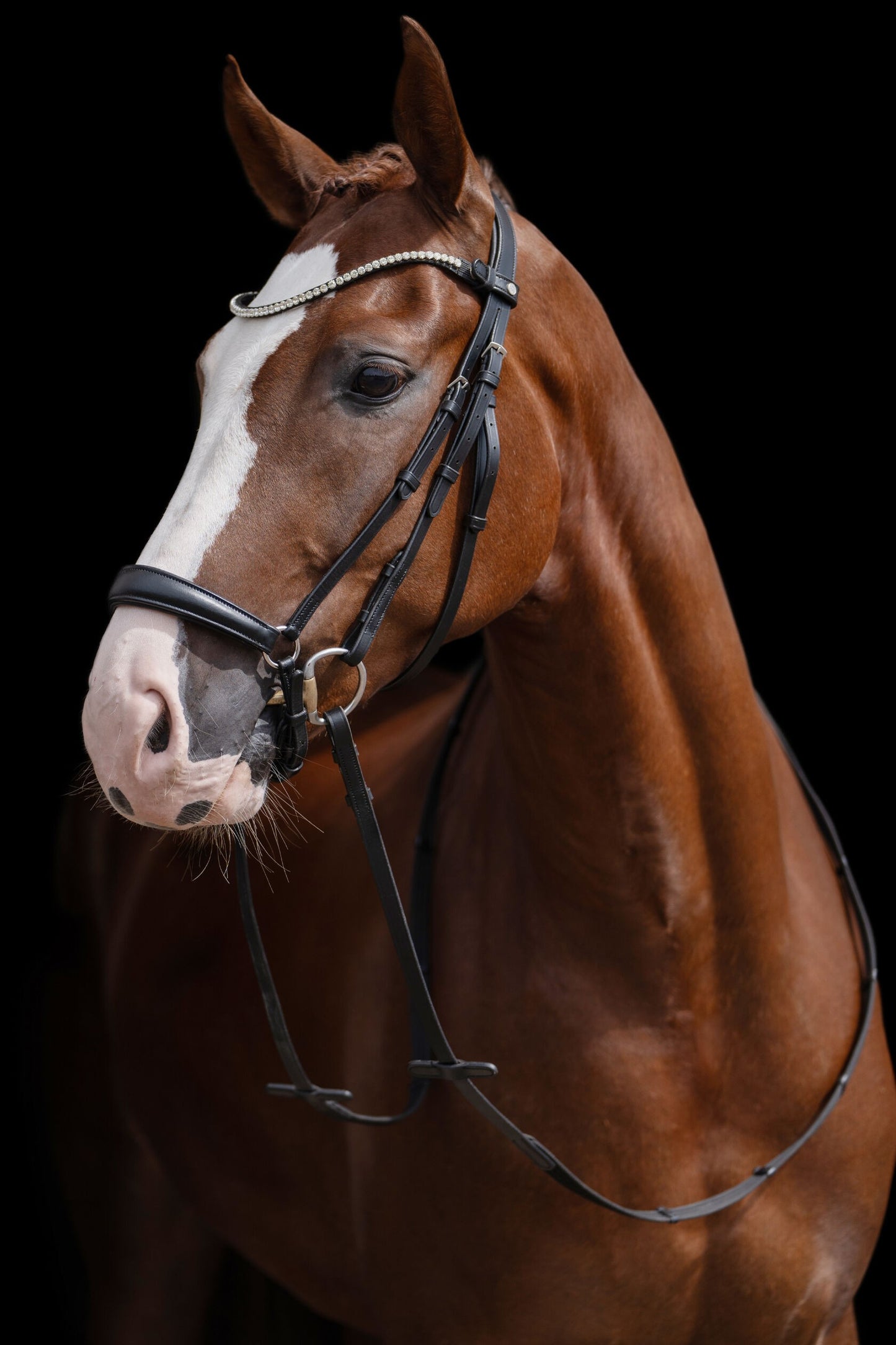 HKM Nicole bridle