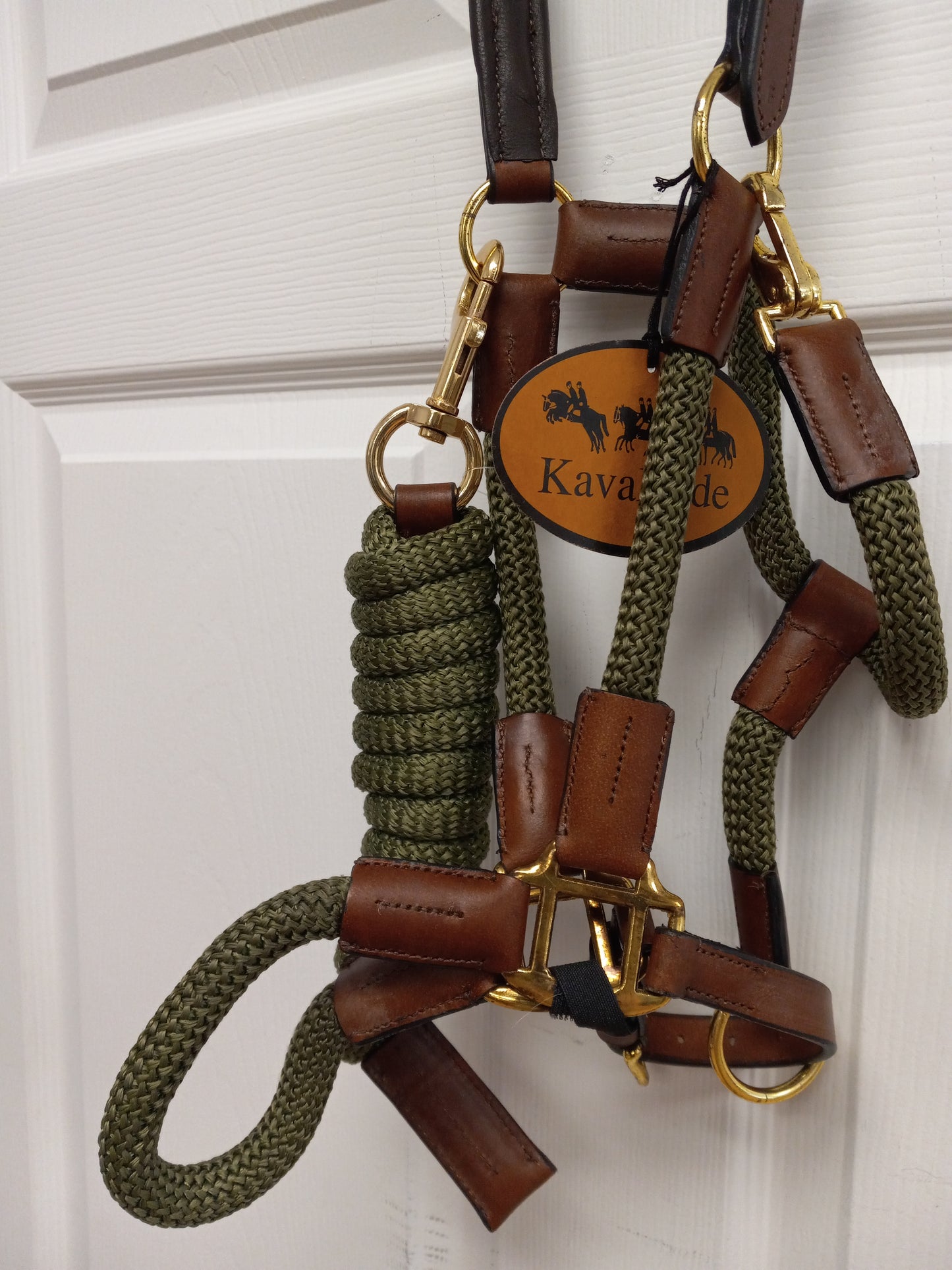 Halter rope-leather  CAVO set with lead