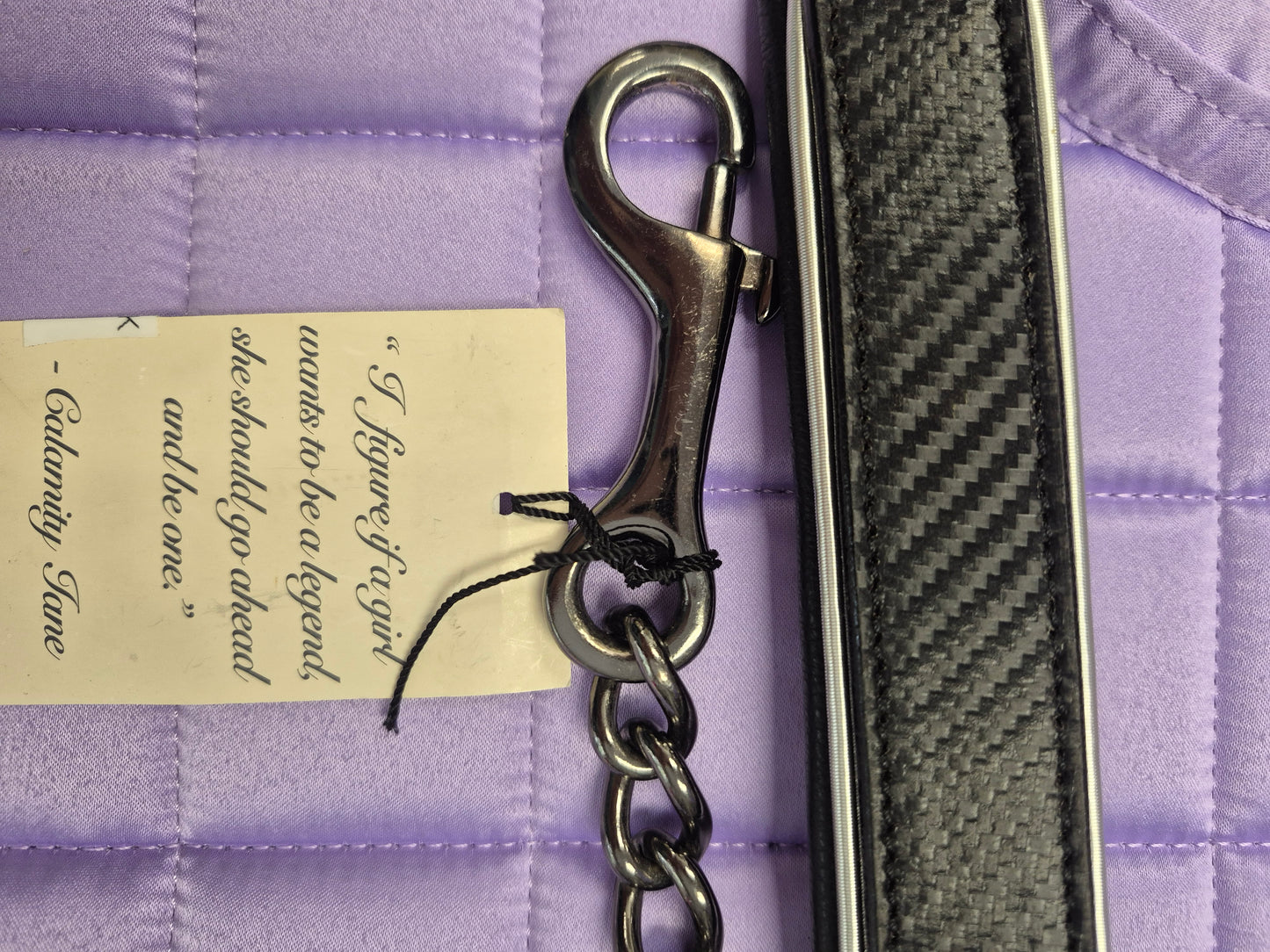 Halter Ego C Lead shank (270cm long) 8 feet.30"