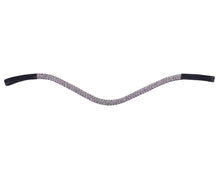 QHP Browband Verbena