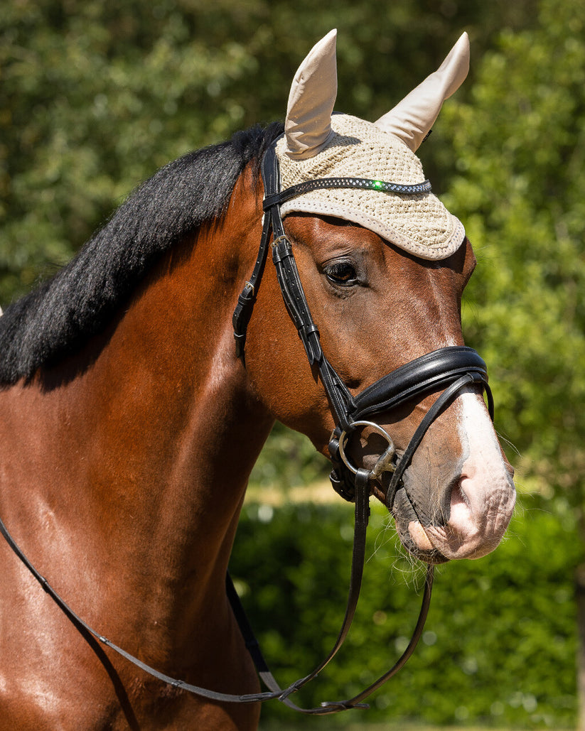 QHP Ear Net Fading