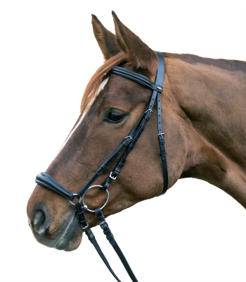 Waldhausen X-Line Hannover Drop Noseband Bridle
