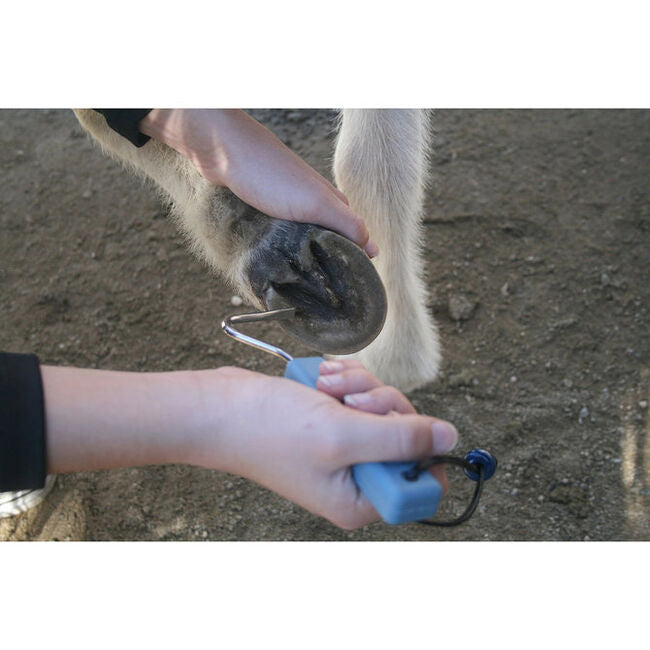 Epona Winning Hoof Pick