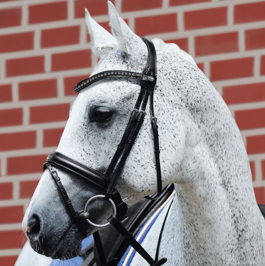 Fortuna Snaffle Bridle DISCONTINUED