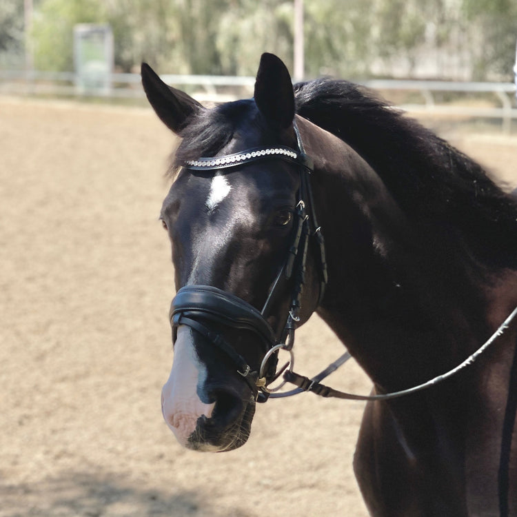 Halter Ego C Snaffle Bridle