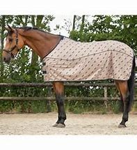 QHP Fly Sheet Summer focus Taupe 80"