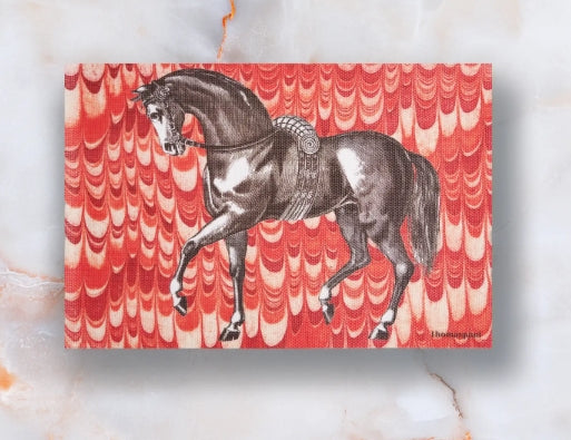 TP Vinyl Placemats Equus Marble Set/4 12"x18"
