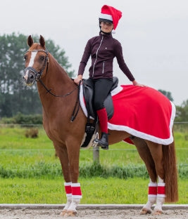 QHP Christmas Quarter Sheet