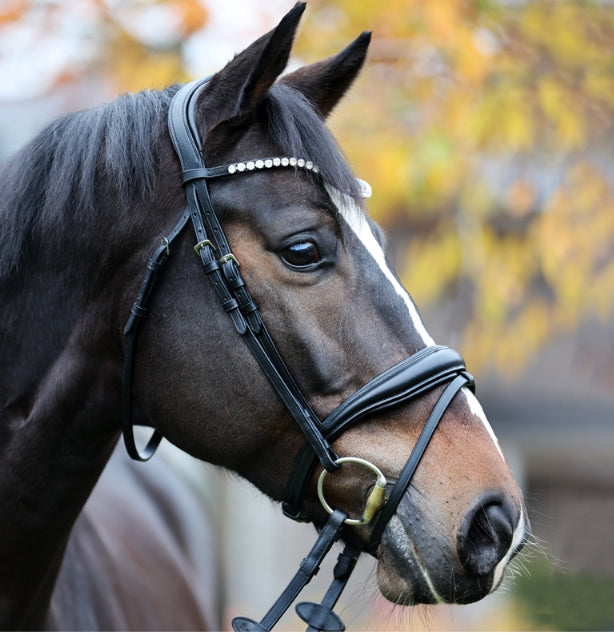 Kavalkade Juliana Snaffle Bridle, black patent with black lining