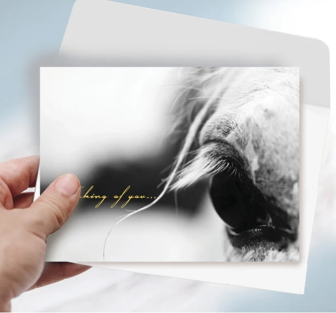 With Sympathy-Horse Grief Card