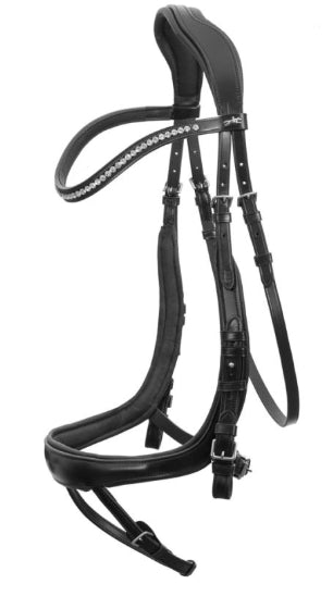 Schockemohle Equitus Beta