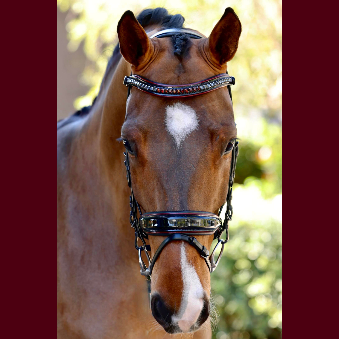 Halter Ego The Hayworth Convertible Bridle