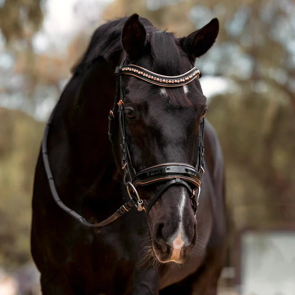 Halter Ego Aurelia Black Patent Snaffle Bridle