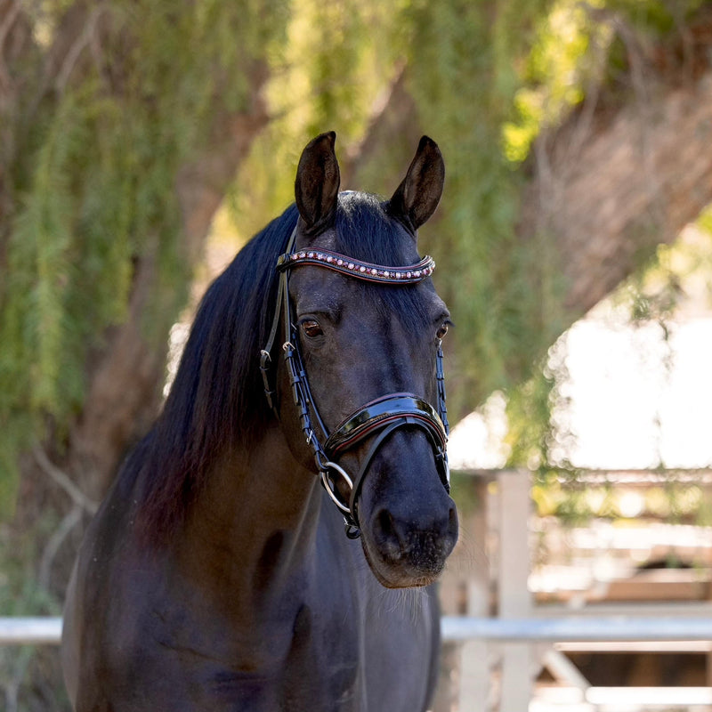 Halter Ego  The Hayworth Snaffle Bridle