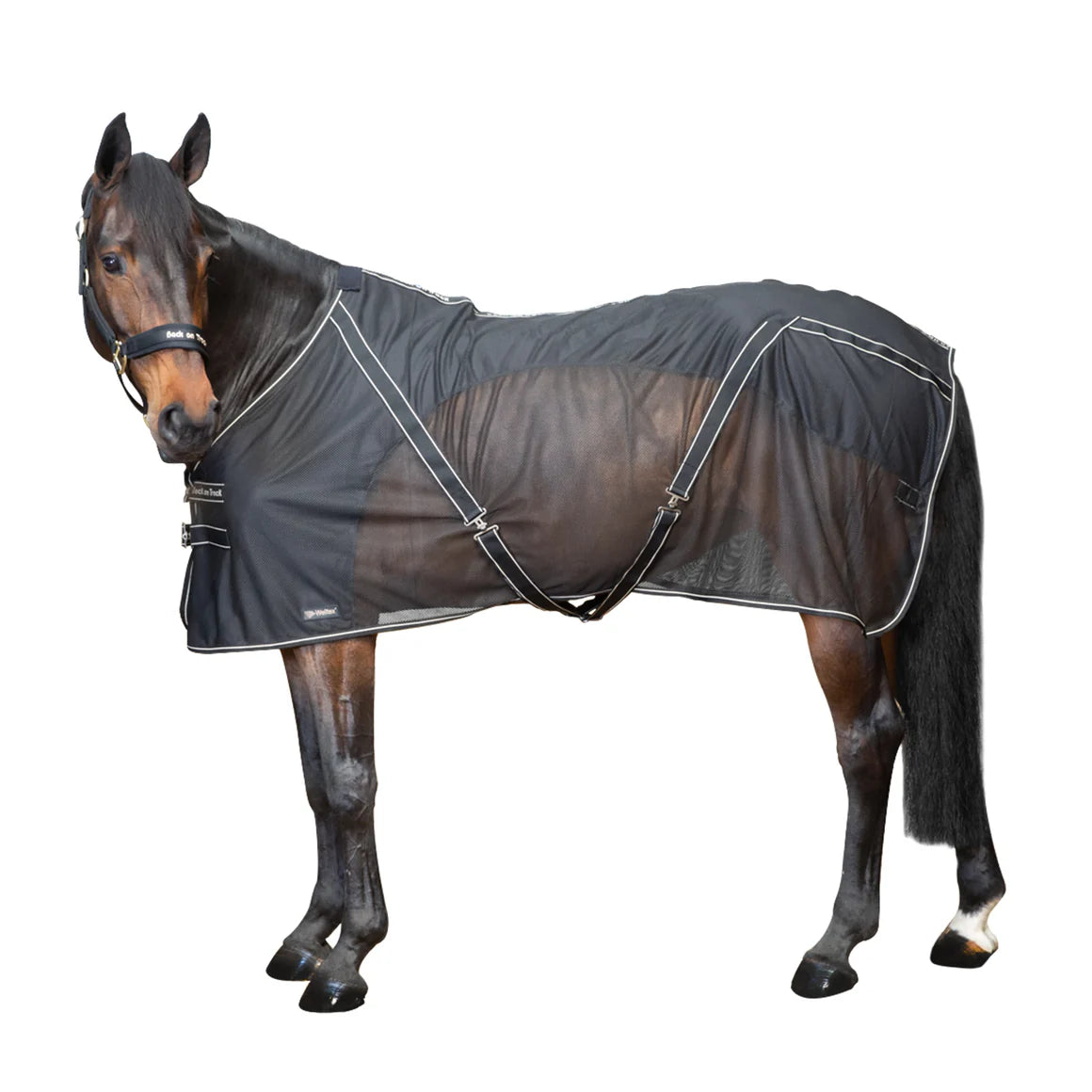 Back On Track Sienna Mesh Sheet Black