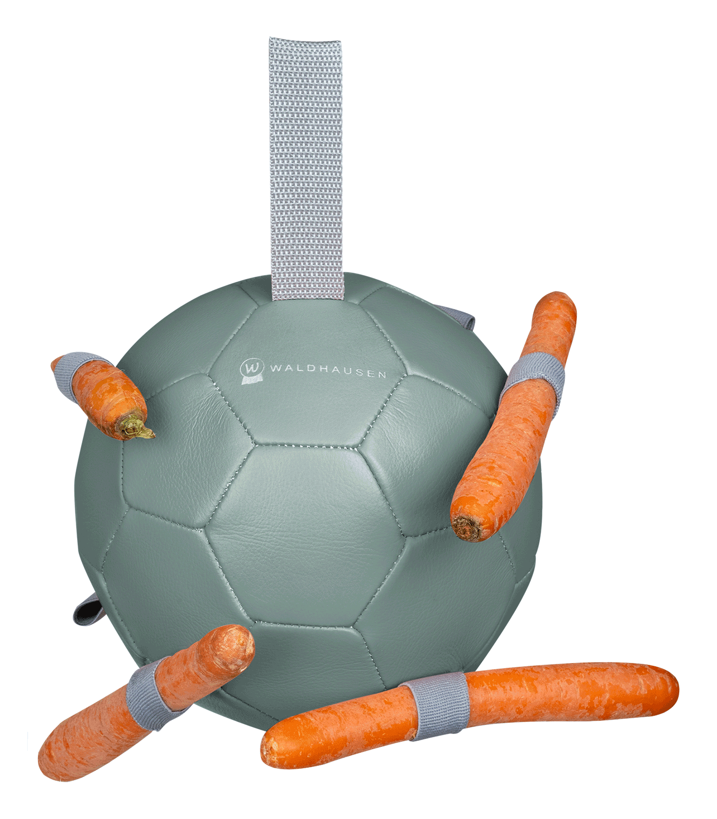 Waldhausen Carrot Ball Horse Toy