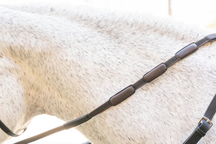 CorrectConnect Comfort Connect Rein