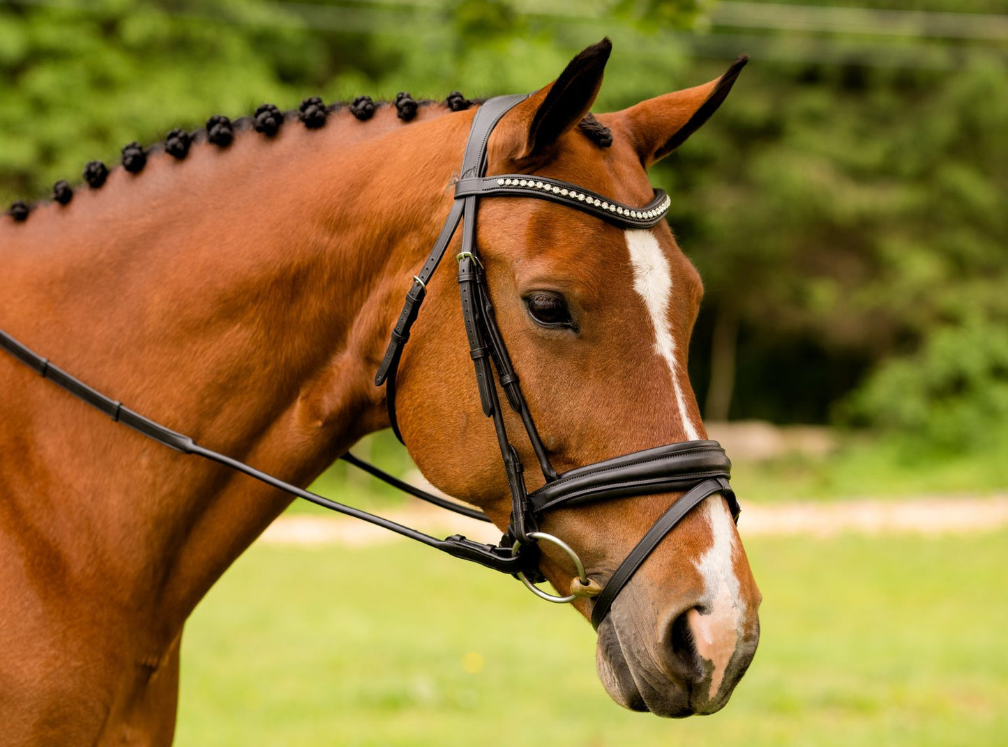 KLS Flexion Patent Rolled Dressage Bridle