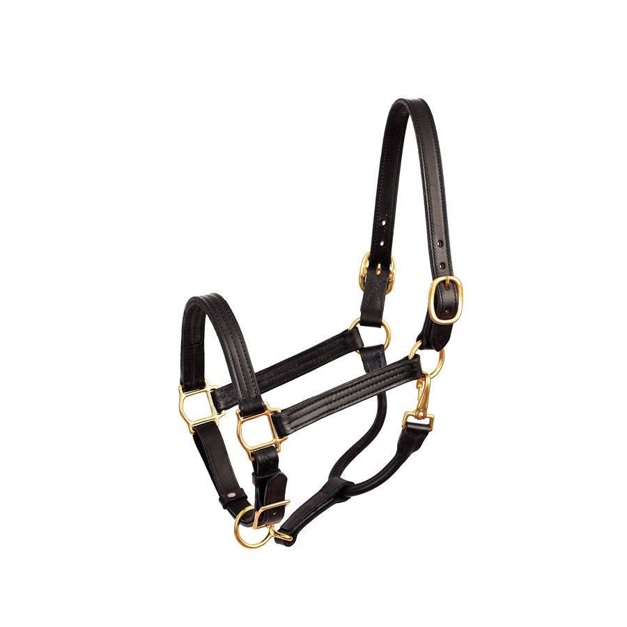 Perri's Leather 1" Horse Show Halter