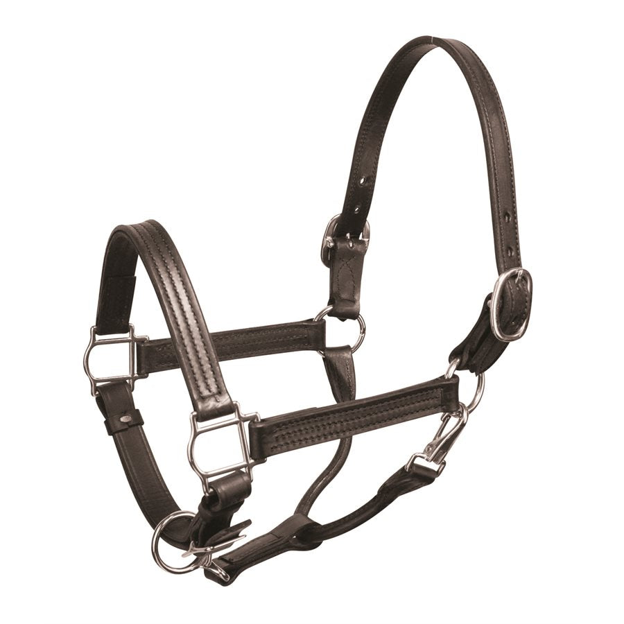 Perri's Leather 1" Horse Show Halter