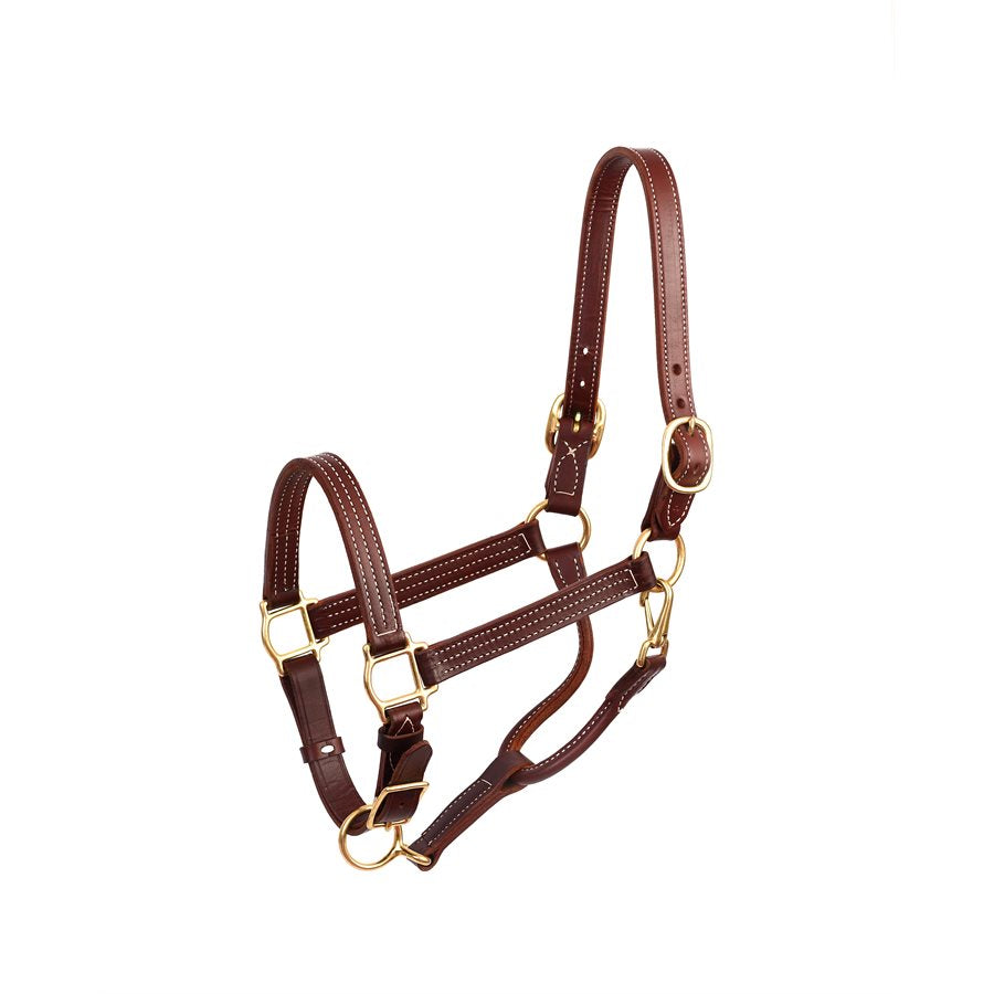 Perri's Leather 1" Horse Show Halter