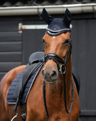 QHP Denver Ear Net