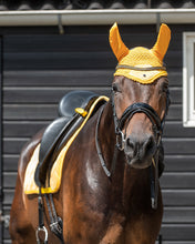 QHP Summer Glow Saddle Pads