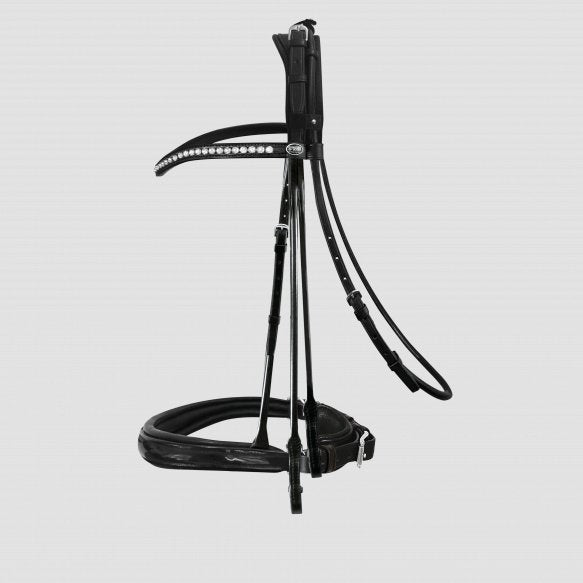 Passier Icarus Double Bridle (Non-Patent Leather) with reins