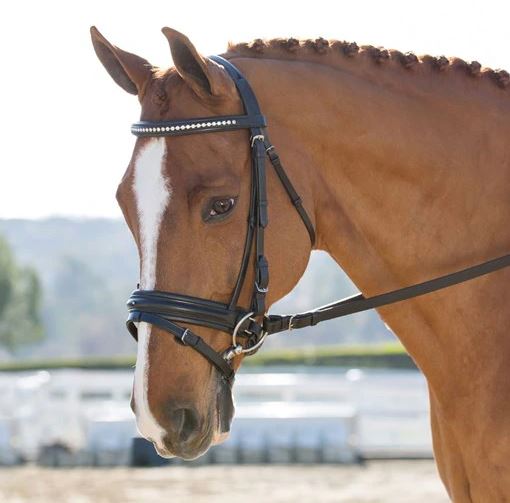 Black Oak Larkspur Dressage Bridle