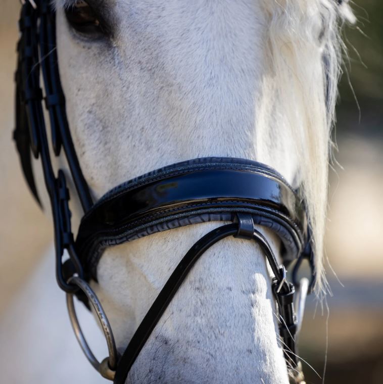 Halter Ego Copenhagen Snaffle