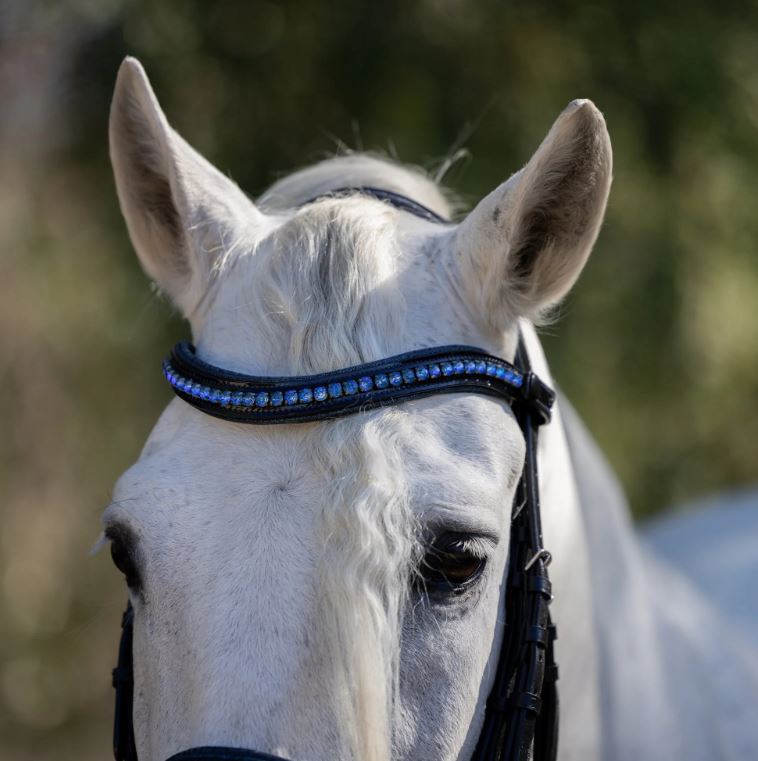 Halter Ego Copenhagen Snaffle