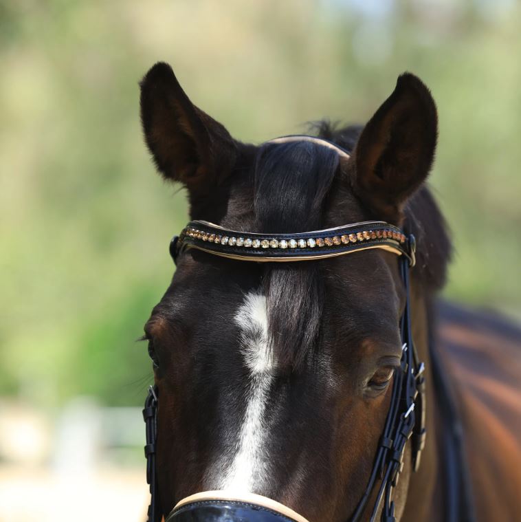 Halter Ego The Thea Double Bridle