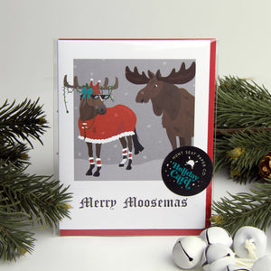 Merry Moosemas Holiday Mule Christmas Card