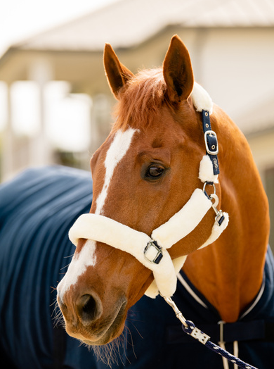 PS of Sweden Fluffy Halter
