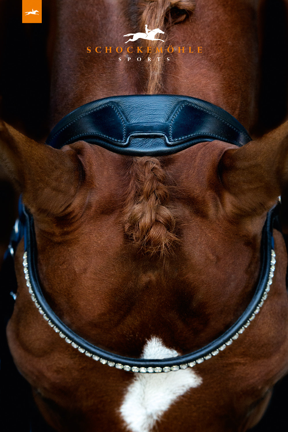 Schockemöhle Venice Bridle