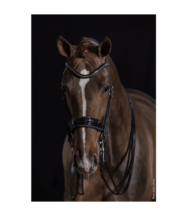 Schockemohle Milan Glam Double Bridle