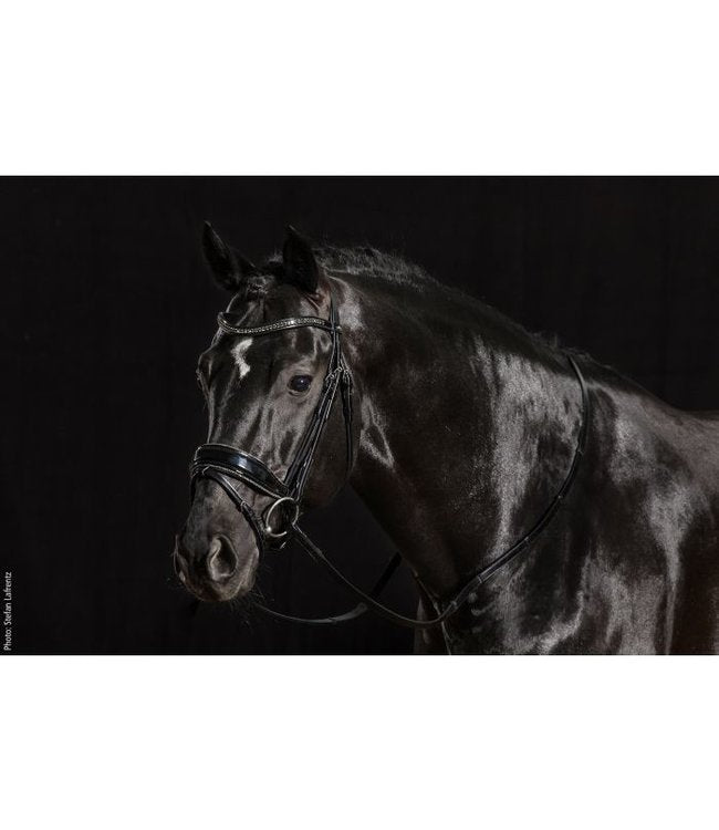 Schockemohle Stanford Glam Snaffle