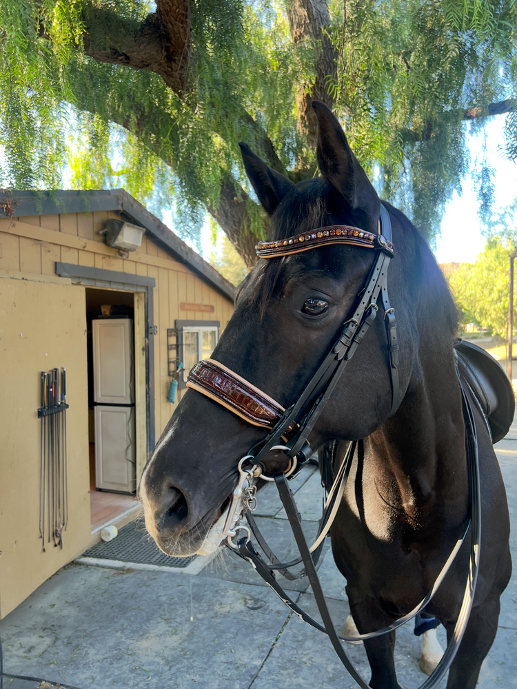 Bridles & Bridles Accessories