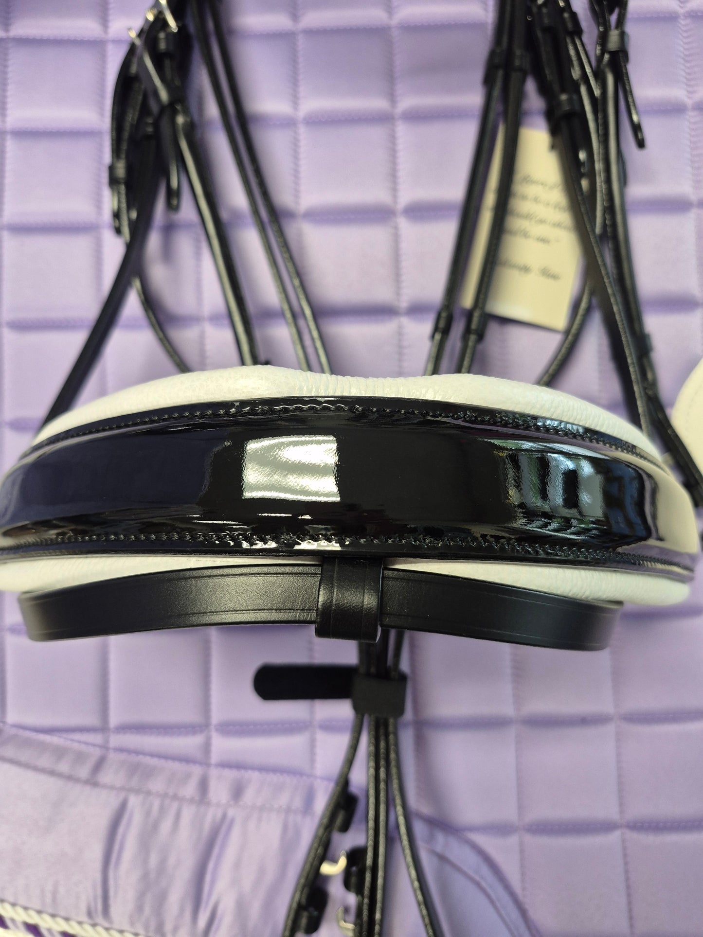 Halter Ego C  Snaffle Bridle