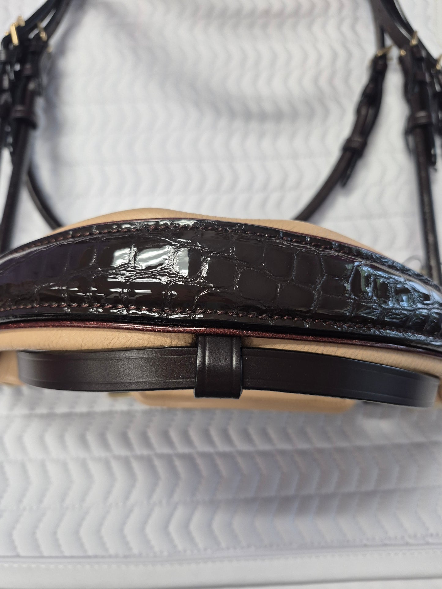 Halter Ego C  Snaffle Bridle