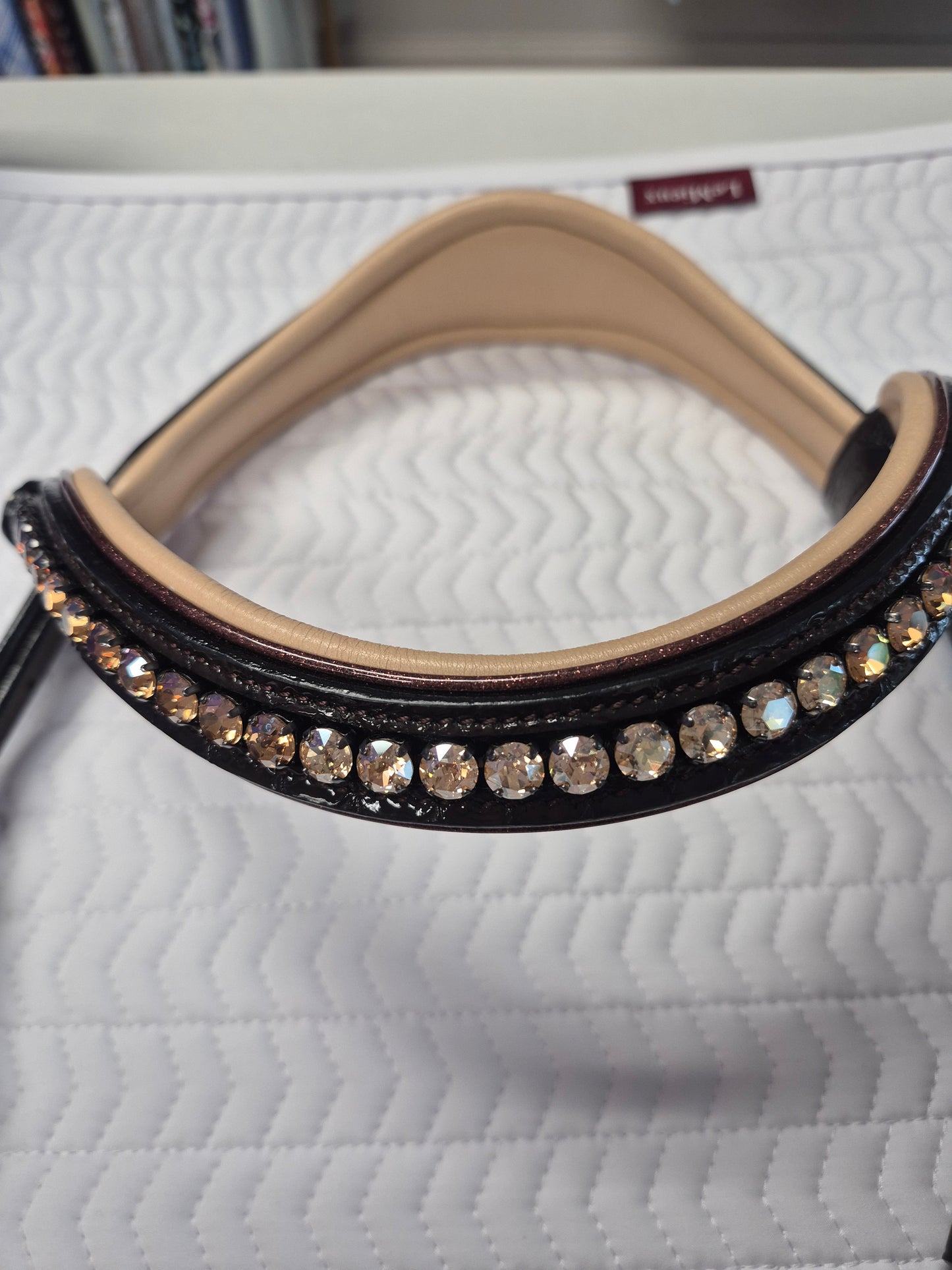 Halter Ego C  Snaffle Bridle