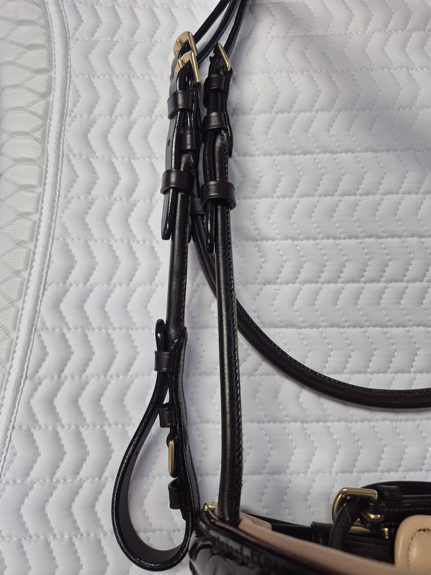 Halter Ego C  Snaffle Bridle