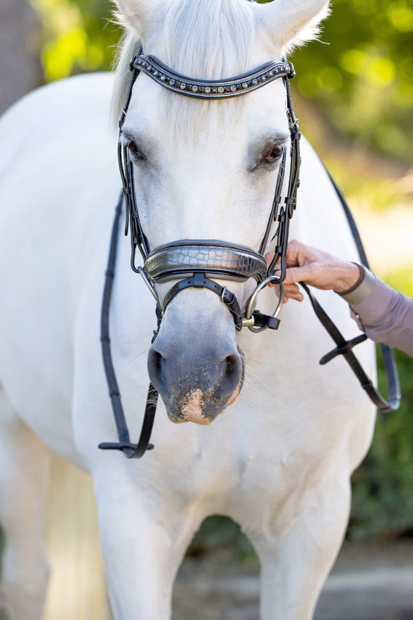 Halter Ego Artemis Black Leather Snaffle Bridle