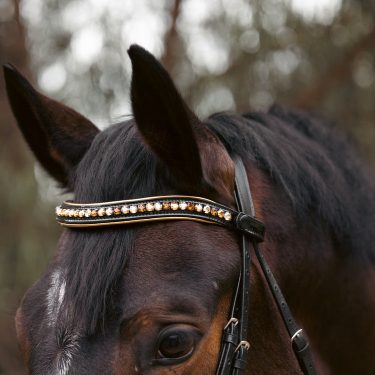 Halter Ego C  Snaffle Bridle