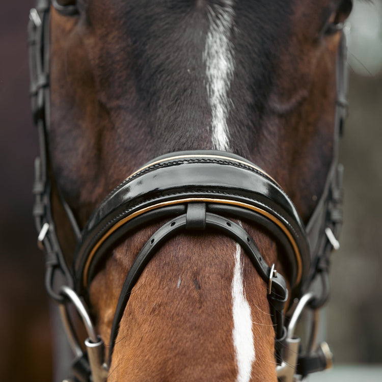Halter Ego C  Snaffle Bridle