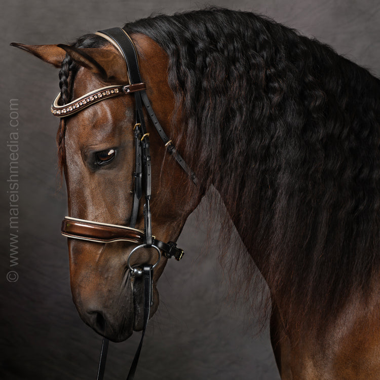 Halter Ego C  Snaffle Bridle