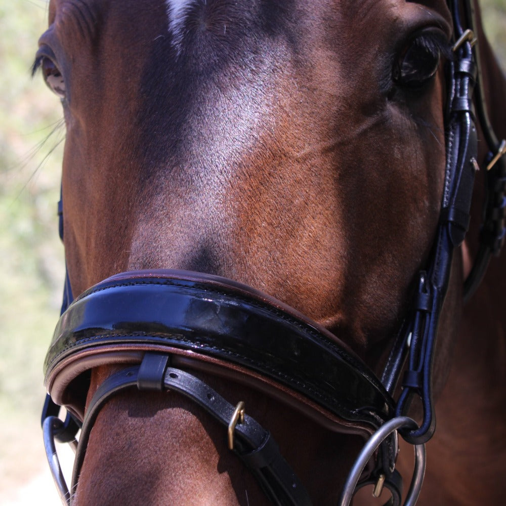 Halter Ego C  Snaffle Bridle