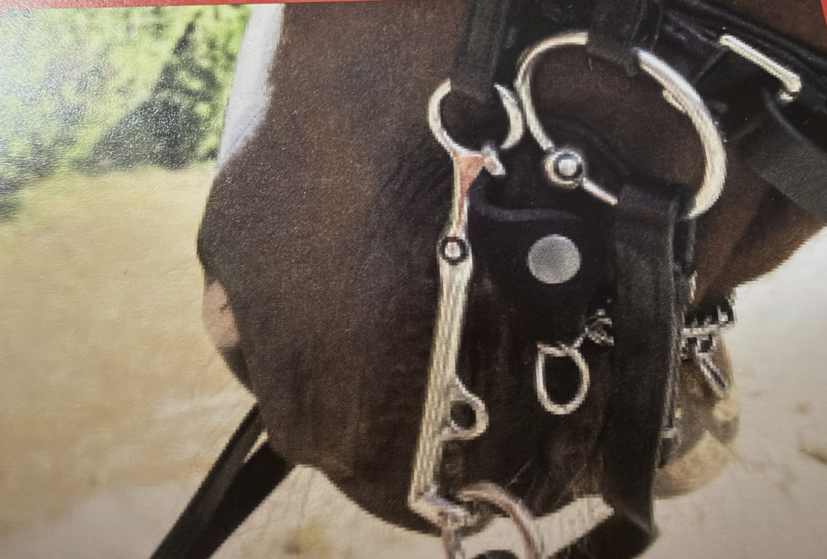 Uber Reiter Neoprene Curb Chain Cover and hook covers